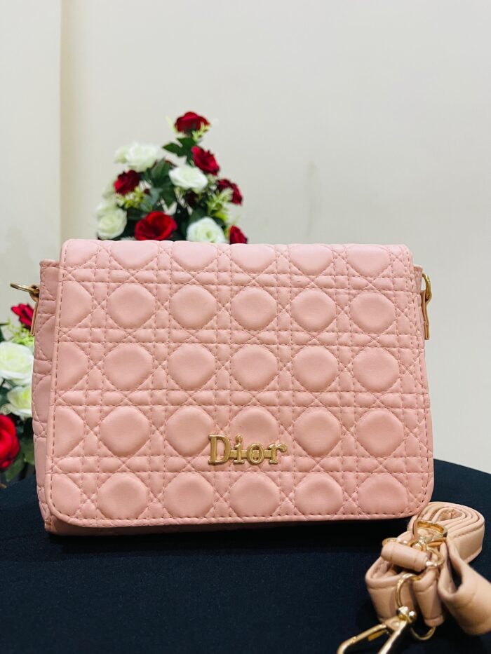 dior hand bag